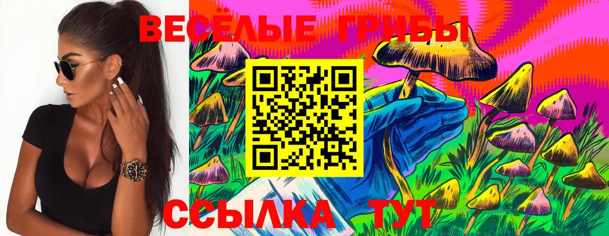 Псилоцибиновые грибы Psilocybine cubensis  наркотики  Семилуки  Вход с VPN 