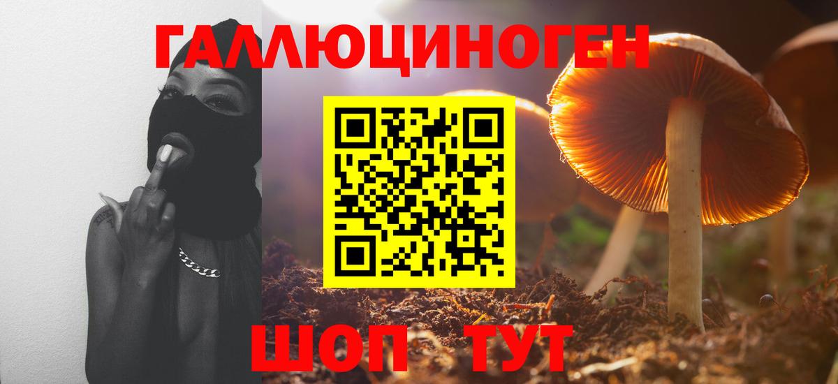 Псилоцибиновые грибы мухоморы Семилуки